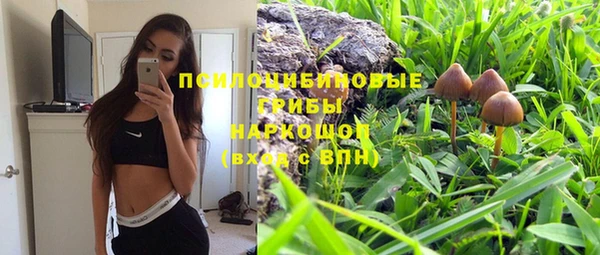 mdpv Алзамай