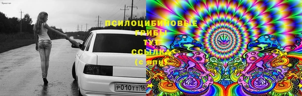 спайс Алексеевка