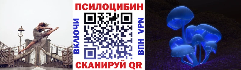 продажа наркотиков Олонец Псилоцибиновые грибы Psilocybine cubensis