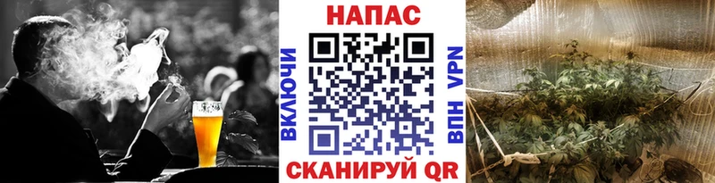 Каннабис марихуана  Олонец 